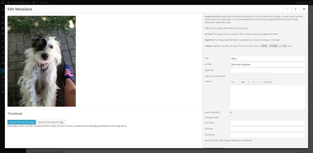 edit-metadata-screen-1024x501